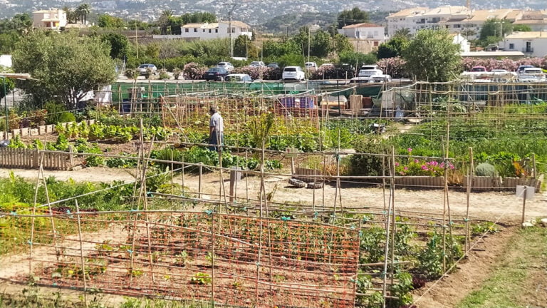 Krijg je eigen gratis moestuin in Altea
